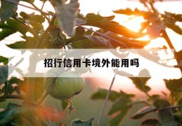 招行信用卡境外能用吗