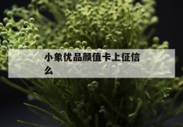 小象优品颜值卡上征信么