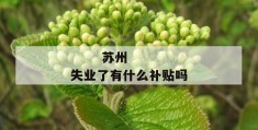 
       苏州失业了有什么补贴吗
     