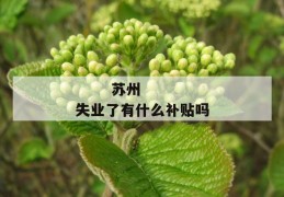 
       苏州失业了有什么补贴吗
     