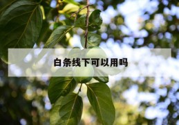 白条线下可以用吗