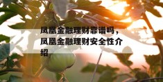 凤凰金融理财靠谱吗，凤凰金融理财安全性介绍