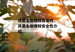 凤凰金融理财靠谱吗，凤凰金融理财安全性介绍