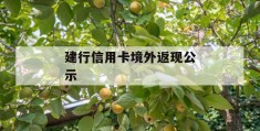 建行信用卡境外返现公示