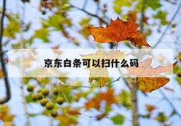 京东白条可以扫什么码