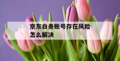 京东白条账号存在风险怎么解决