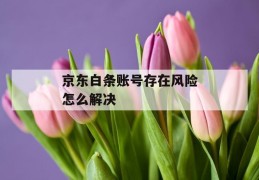 京东白条账号存在风险怎么解决