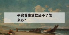 平安普惠贷款还不了怎么办？