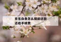 京东白条怎么提前还款还收手续费