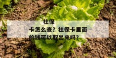 
       社保卡怎么查？社保卡里面的钱可以取出来吗？
     