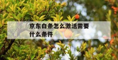 京东白条怎么激活需要什么条件