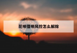 花呗借呗风控怎么解除，花呗、借呗被冻结怎么办？