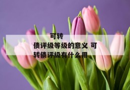 
       可转债评级等级的意义 可转债评级有什么用
     