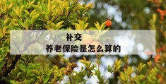 
       补交养老保险是怎么算的
     