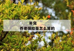 
       补交养老保险是怎么算的
     