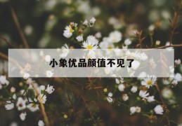 小象优品颜值不见了