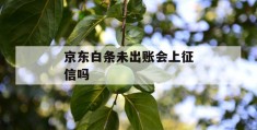 京东白条未出账会上征信吗