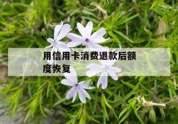 用信用卡消费退款后额度恢复