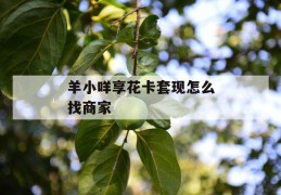 羊小咩享花卡套现怎么找商家