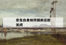 京东白条如何提前还款关闭