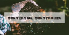 花呗风控还能分期吗，花呗风控了影响征信吗