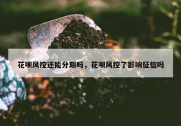 花呗风控还能分期吗，花呗风控了影响征信吗