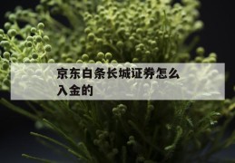 京东白条长城证券怎么入金的