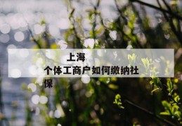 
       上海个体工商户如何缴纳社保
     