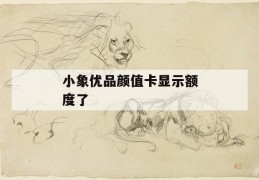 小象优品颜值卡显示额度了