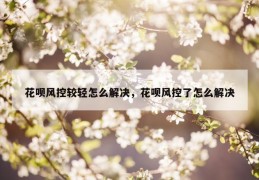 花呗风控较轻怎么解决，花呗风控了怎么解决