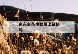 京东白条体验版上征信吗