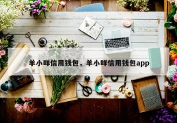 羊小咩信用钱包，羊小咩信用钱包app