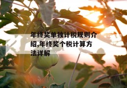 年终奖单独计税规则介绍,年终奖个税计算方法详解