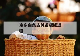 京东白条支付退货钱退哪