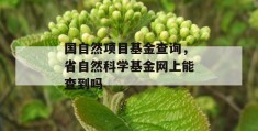 国自然项目基金查询，省自然科学基金网上能查到吗