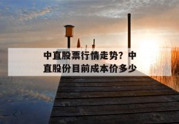 中直股票行情走势？中直股份目前成本价多少