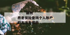 
       郴州养老保险查询个人账户的方法有哪些
     