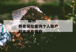 
       郴州养老保险查询个人账户的方法有哪些
     