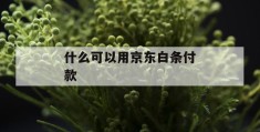 什么可以用京东白条付款