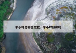 羊小咩是哪里放款，羊小咩放款吗