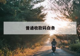 普通收款码白条