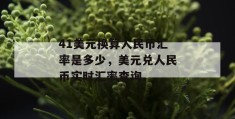 41美元换算人民币汇率是多少，美元兑人民币实时汇率查询