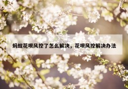 蚂蚁花呗风控了怎么解决，花呗风控解决办法