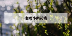 套现小鹅花钱