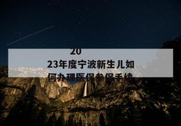 
       2023年度宁波新生儿如何办理医保参保手续
     