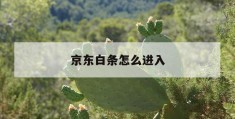 京东白条怎么进入