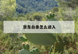 京东白条怎么进入