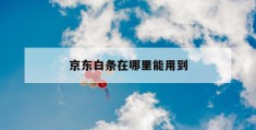 京东白条在哪里能用到