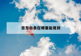 京东白条在哪里能用到