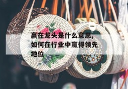 赢在龙头是什么意思,如何在行业中赢得领先地位